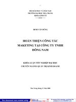 hoàn thiện công tác marketing tại công ty tnhh đông nam