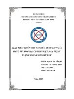 Phát triển cho vay tiêu dùng tại Ngân hàng Việt Nam Thịnh Vượng chi nhánh Thủ Đức