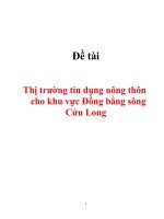 Thị trường tín dụng nông thôn cho khu vực Đồng bằng sông Cửu Long