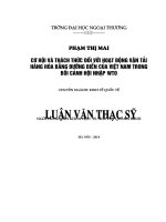 Luận văn thạc sỹ: Cơ hội và thách thức đối với hoạt động vận tải hàng hóa bằng đường biển của Việt Nam trong bối cảnh hội nhập WTO