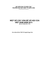 Một số các vấn đề xã hội của Việt Nam năm 2013