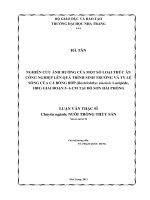 nghiên cứu ảnh hưởng của một số loại thức ăn công nghiệp lên quá trình sinh truởng và tỷ lệ sống của cá bống bớp (bostrichthys sinensis lacépède, 1801) giai đoạn 5- 6 cm tại đồ sơn hải phòng