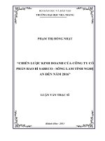 chiến lược kinh doanh của công ty cổ phần bao bì sabeco - sông lam tỉnh nghệ an đến năm 2016