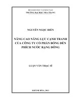 nâng cao năng lực cạnh tranh của công ty cổ phẩn bóng đèn phích nước rạng đông