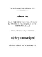 Hoàn thiện kênh phân phối sản phẩm tại Công ty Cổ Phần Dược Hậu Giang  Chi nhánh Đắk Lắk