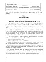 quy trình khảo sát đường ô tô