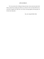 hoàn thiện hoạt động quản lý hải quan đối với thuế xuất nhập khẩu tại cục hải quan nghệ an