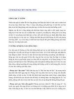 bài giảng lãnh đạo đạt đến thành công