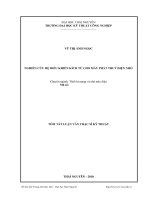 nghiên cứu hệ điều khiển kích từ cho máy phát thủy điện nhỏ