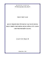 quản trị rủi ro tín dụng tại ngân hàng phát triển nhà đồng bằng sông cửu long chi nhánh kiên giang