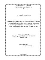 nghiên cứu ảnh hưởng của thức ăn rong câu chỉ vàng khô lên quá trình sinh trưởng, tỷ lệ sống và chất lượng thịt của bào ngư (haliotis diversicolor reeve, 1846) nuôi tại bạch long vỹ - hải phòng