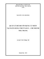 quản lý rủi ro tín dụng cá nhân tại ngân hàng tmcp nam á – chi nhánh nha trang