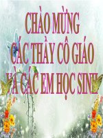 bài giảng môn ngữ văn 10 - tiết 90 đặc điểm loại hình của tiếng việt