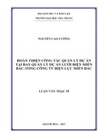 hoàn thiện công tác quản lý dự án tại ban quản lý dự án lưới điện miền bắc tổng công ty điện lực miền bắc
