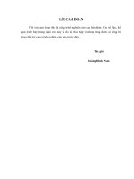 phát triển các khu công nghiệp thuộc khu kinh tế đông nam tỉnh nghệ an đến năm 2020