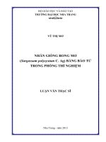 nhân giống rong mơ (sargassum polycystum c. ag) bằng bào tử trong phòng thí nghiệm
