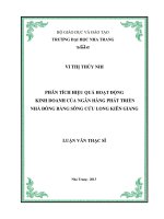 phân tích hiệu quả hoạt động kinh doanh của ngân hàng phát triển nhà đồng bằng sông cửu long kiên giang