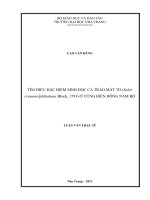 tìm hiểu đặc điểm sinh học cá tráo mắt to (selar crumenolphthalmus block, 1793) ở vùng biển đông nam bộ