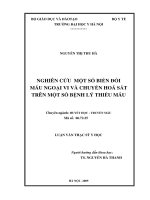 Nghiên cứu  một số biến đổi  máu ngoại vi và chuyển hoá sắt  trên một số bệnh lý thiếu máu