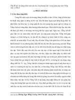 skkn sử dụng phần mềm dạy học đa phương tiện trong giảng dạy môn tiếng anh ở thcs