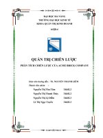 phân tích chiến lược công ty ACME brick