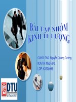 nghiên cứu sự tác động của các yếu tố tổng thu thuế, tiêu dùng chính phủ, xuất khẩu hàng hóa, lạm phát và gdp bình quân đầu người đến tổng thu ngân sách nhà nước năm 2006 của 33 quốc gia được chọn ngẫu nhiên