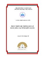 phát triển hệ thống bán lẻ hàng hóa tại tỉnh kiên giang