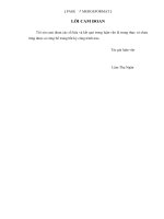 nghiên cứu sử hấp phụ  kim loại nặng bằng gel alginat canxi tách chiêt từ rong mơ  sargassum mcclurei