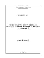 nghiên cứu đánh giá mức độ ổn định thực tế tàu cá nghê lưới chụp 4 tăng gông tại tỉnh nghệ an