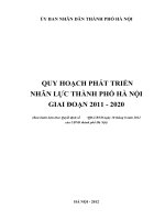 Quy hoạch phát triển nhân lực thành phố Hà Nội giai đoạn 2011 đến 2020