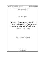 Nghiên cứu diễn biến lâm sàng và hình thái ổ máu tụ ở bệnh nhân chảy máu não nhu mô trên lều trong 72 giờ đầu