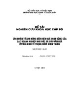 Đề tài nghiên cứu khoa học cấp bộ: Các nhân tố ảnh hưởng đến hiệu quả hoạt động của các DNNN đã cổ phần hoá ở vùng kinh tế trọng điểm miền Trung