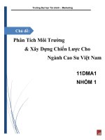 phân tích môi trường & xây dựng chiến lược cho ngành cao su việt nam