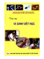 giáo trình  thực tập vi sinh vật học