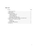 nâng cao kết quả học tập môn ngữ văn thông qua việc rèn luyện kĩ năng vận dụng kết hợp các thao tác lập luận trong bài văn nghị luận