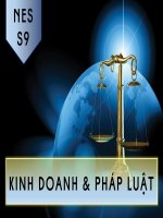 báo cáo tiểu luận môn luật kinh tế giải quyết tranh chấp trong kinh doanh thông qua tòa án