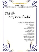 tiểu luận môn luật kinh tế chủ đề luật phá sản