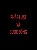 báo cáo tiểu luận môn luật kinh tế chủ đề luật phá sản