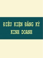 báo cáo  tiểu luận môn luật kinh tế điều kiện đăng ký