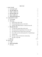 vai trò của giáo viên chủ nhiệm trong việc giáo dục học sinh cá biệt