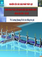 NGHIÊN CỨU CÁC GIẢI PHÁP THỦY LỢI NHẰM KHAI THÁC, SỬ DỤNG HIỆU QỦA NGUỒN NƯỚC SÔNG CÁI LỚN - CÁI BÉ