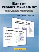 Expert product management  advanced techniques, tips and strategies for product management  product marketing