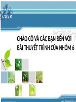 báo cáo tiểu luận môn luật kinh tế chủ đề hợp đồng