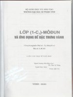 lớp (1-c1) - môđun và ứng dụng để đặc trưng vành
