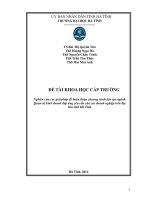 nghiên cứu các giải pháp để hoàn thiện chương trình đào tạo ngành quản trị kinh doanh đáp ứng yêu cầu của các doanh nghiệp trên địa bàn tỉnh hà tĩnh