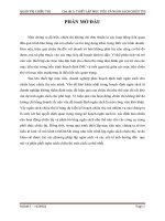 tiểu luận môn quản trị chiêu thị thiết lập mục tiêu và ngân sách chiêu thị