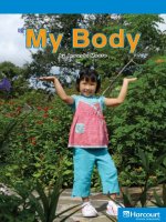 my body social studies