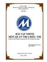 tiểu luận môn quản trị chiêu thị phân tích ảnh hưởng của quảng cáo đối với người tiêu dùng