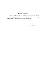 Luận văn thạc sỹ: Hoàn thiện công tác kiểm toán nội bộ tại Ngân hàng Thương mại cổ phần Á Châu