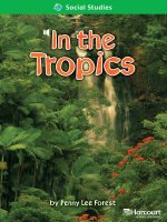 in the tropics social studies